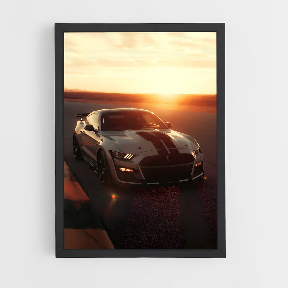 ap-shelby-2 cadre Noir