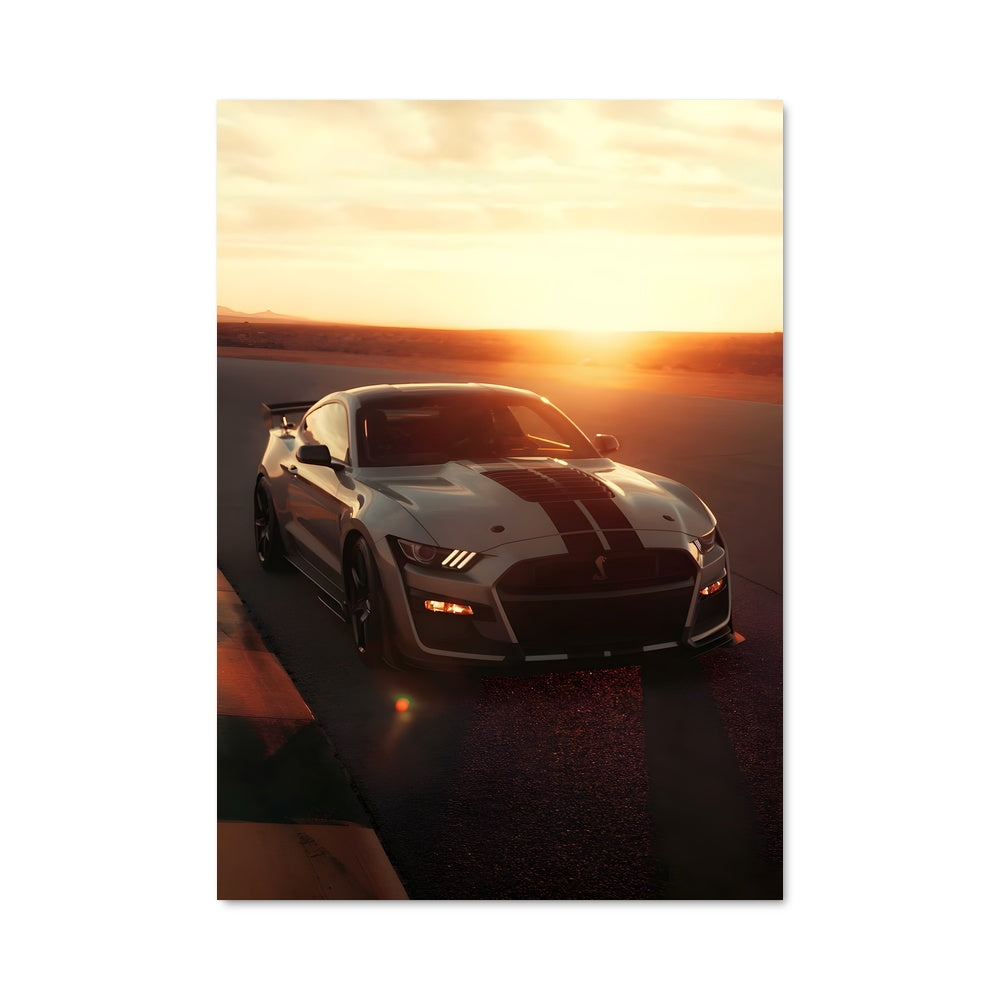 Poster Shelby 82400