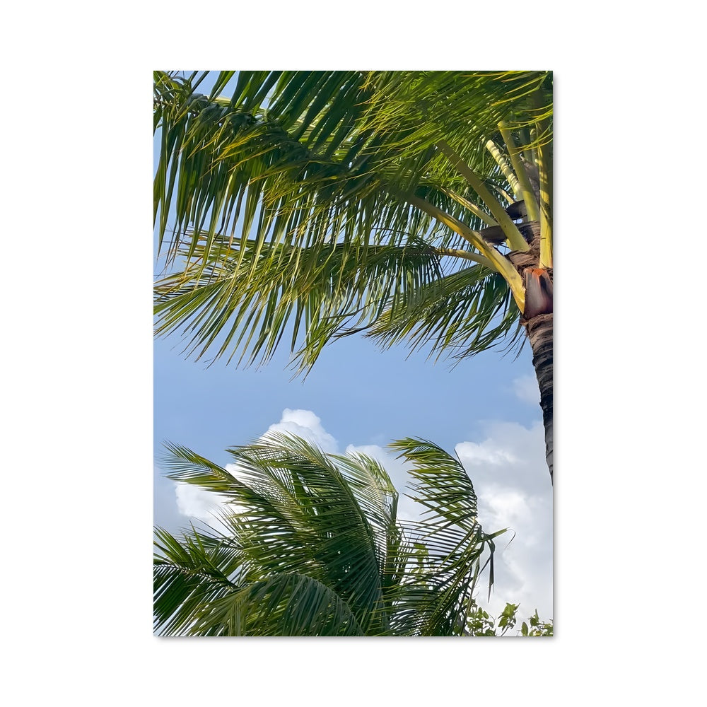 Poster Banane Paradise