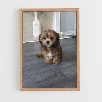 ap-shih tzu-3 cadre Bois clair