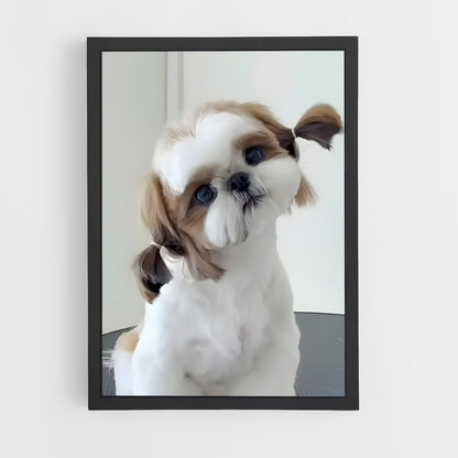 ap-shih tzu-4 cadre Noir
