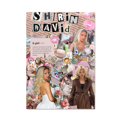 Poster Shirin Vibes