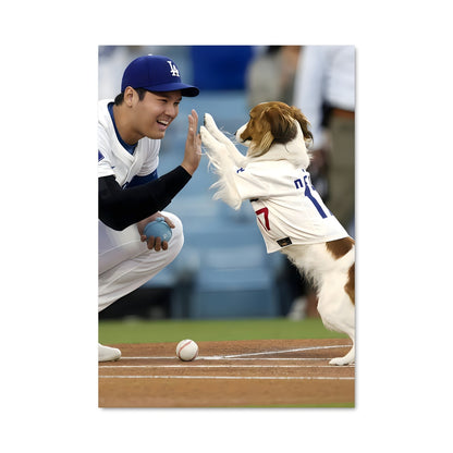 Poster Home Run Canin