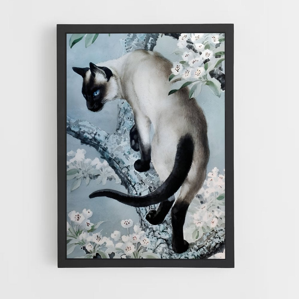 ap-siamese-3 cadre Noir