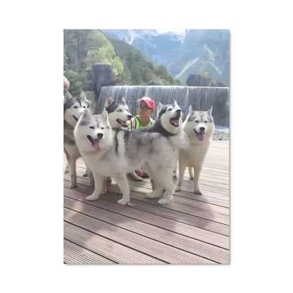 Poster Husky Heroes