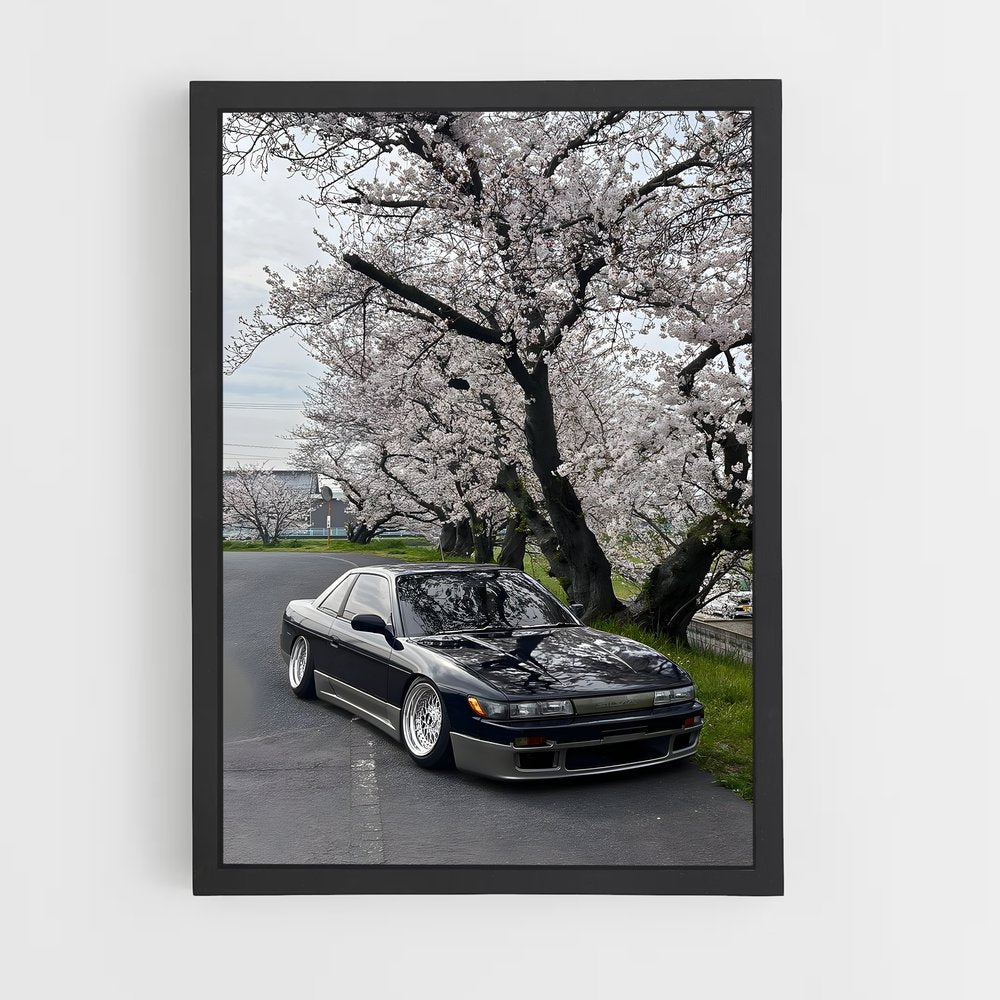 ap-silvia s13-3 cadre Noir