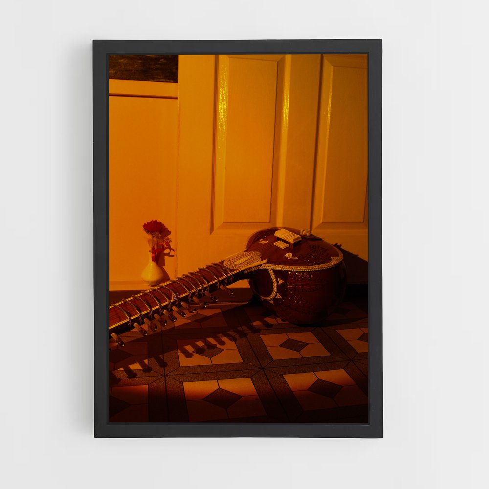 ap-sitar-5 cadre Noir