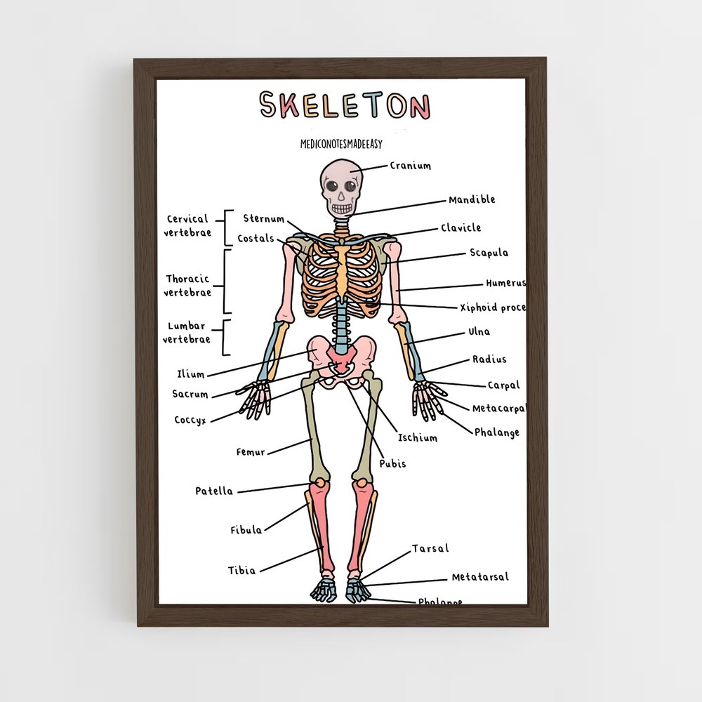 ap-skeleton-8 cadre Bois foncé