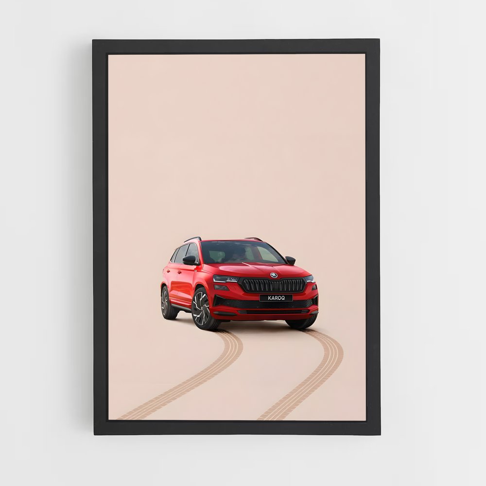 ap-skoda-4 cadre Noir