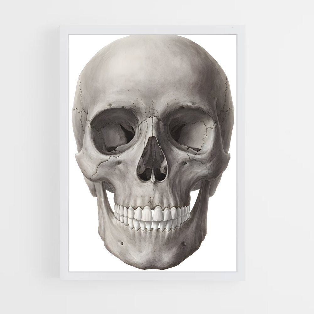 ap-skull-1 cadre Blanc