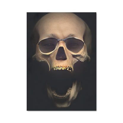 Poster Skulls & Shadows