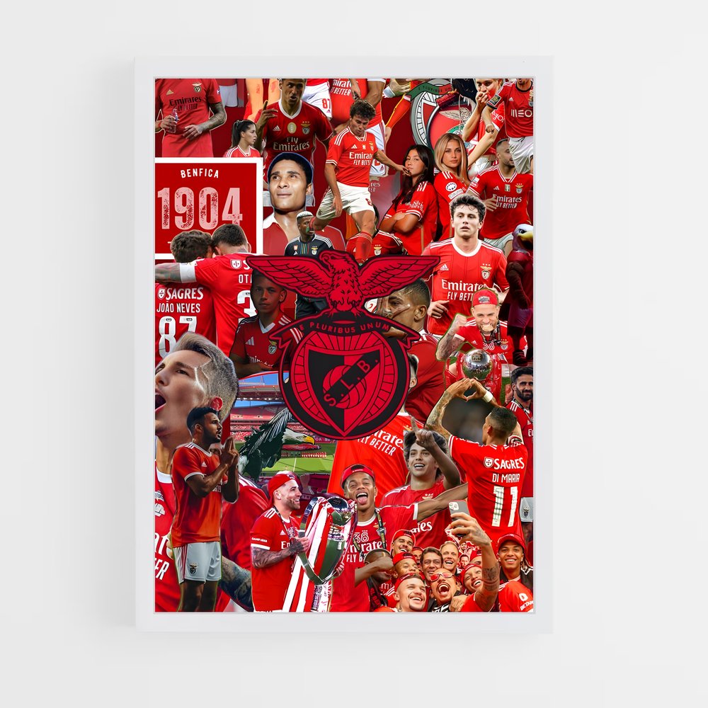 ap-sl benfica-15 cadre Blanc