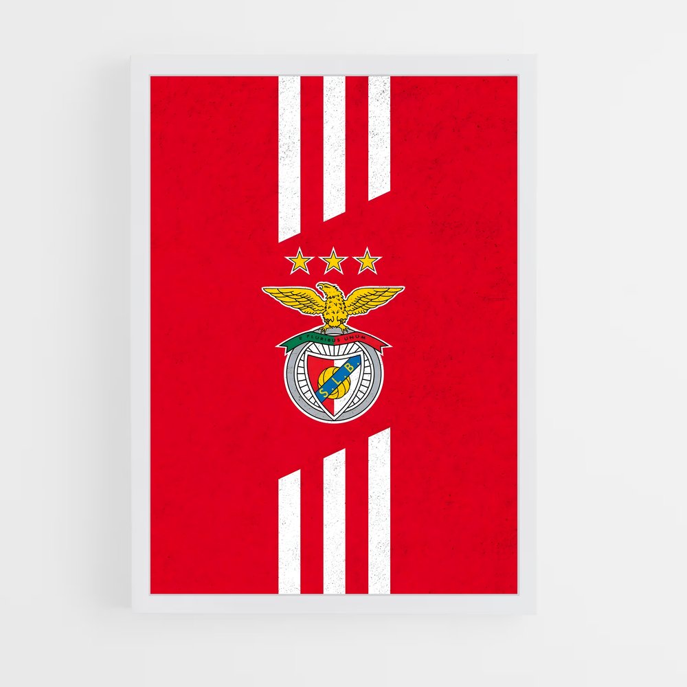 ap-sl benfica-19 cadre Blanc