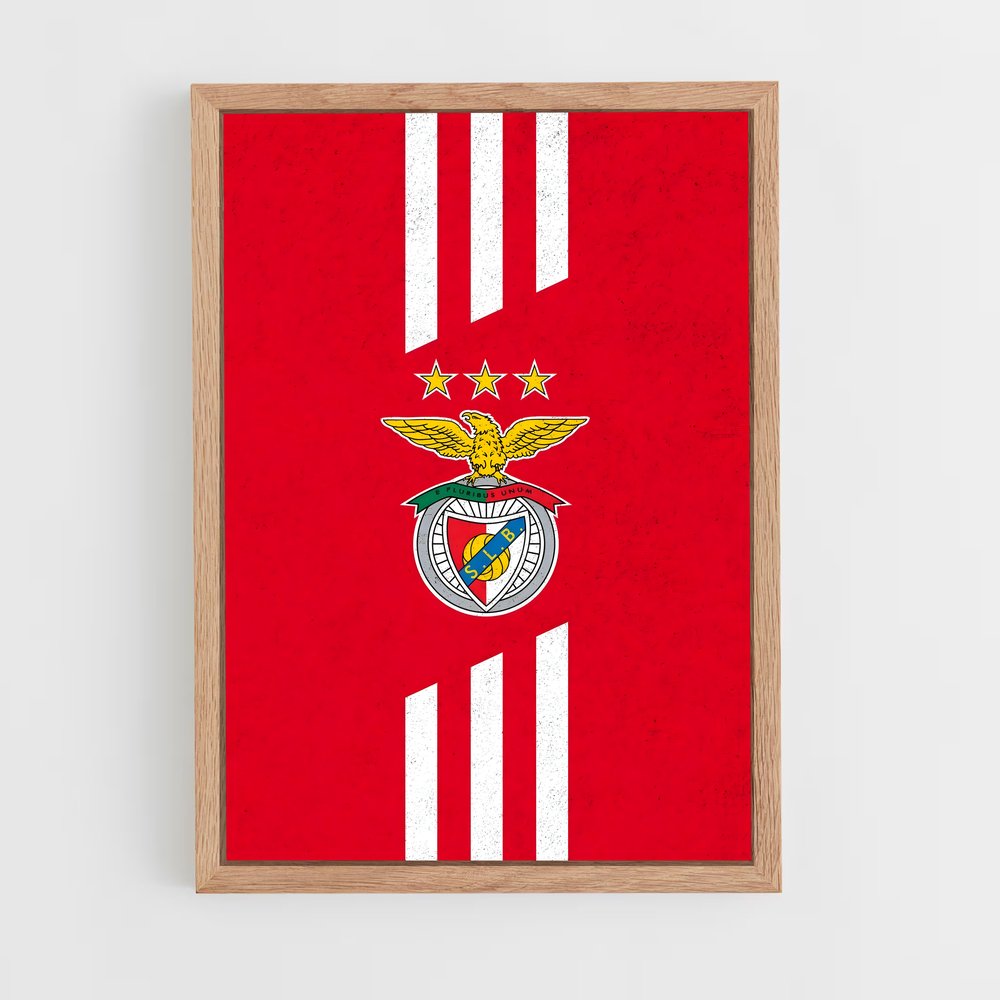 ap-sl benfica-19 cadre Bois clair
