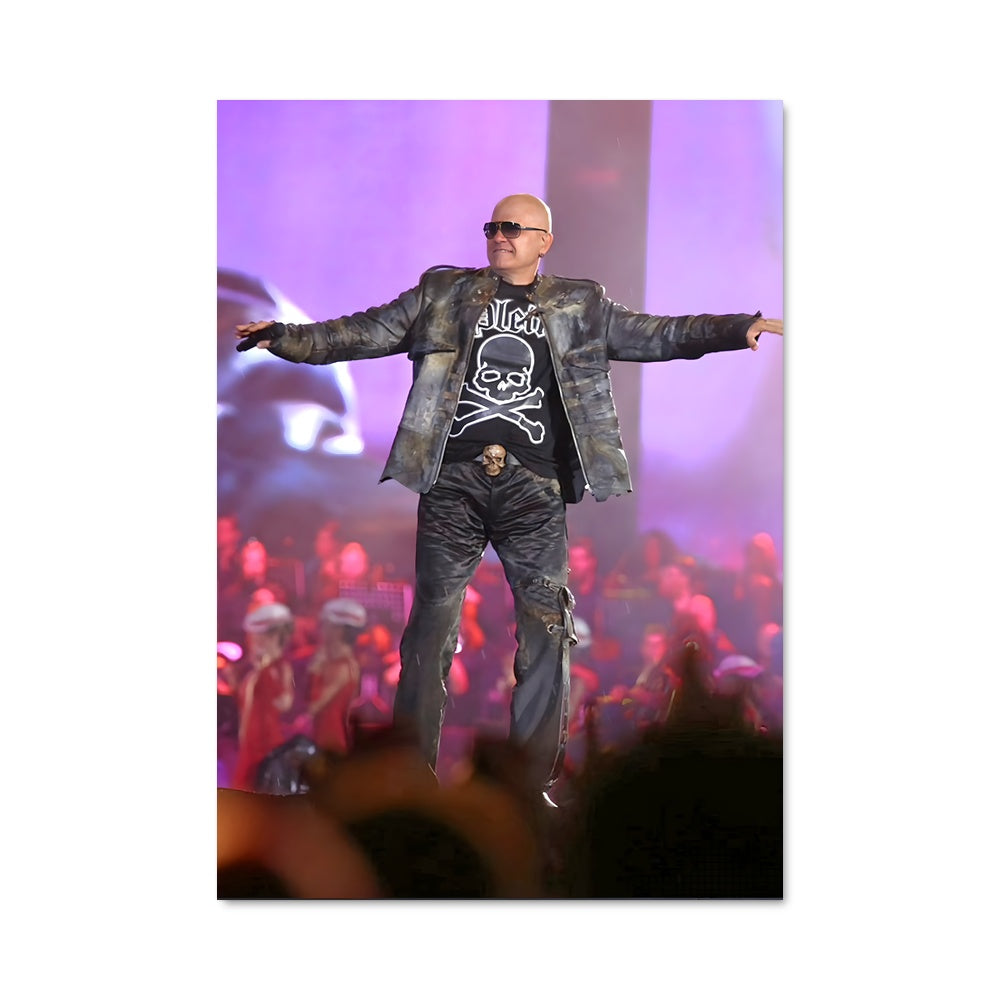 Poster Pitz en Concert