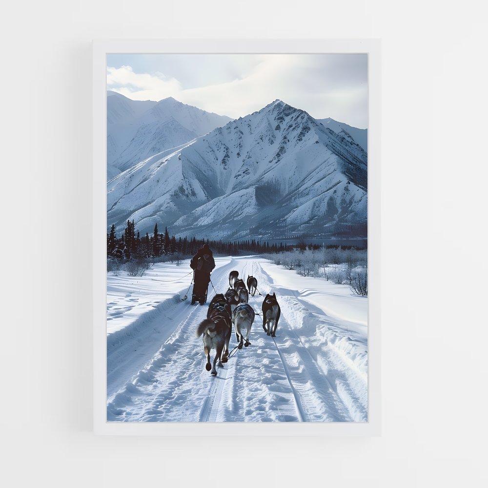 ap-sled dog teams alaska-1 cadre Blanc