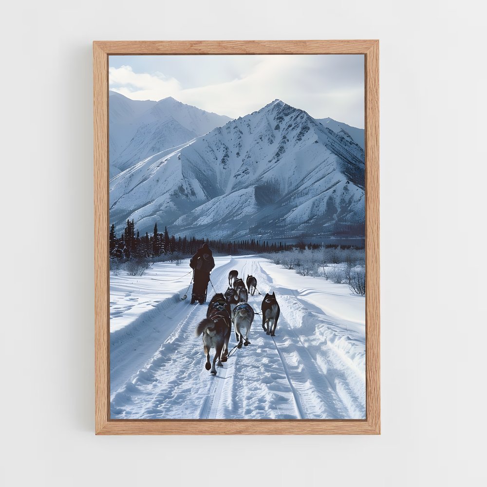 ap-sled dog teams alaska-1 cadre Bois clair