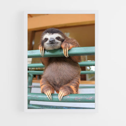 ap-sloth-1 cadre Blanc