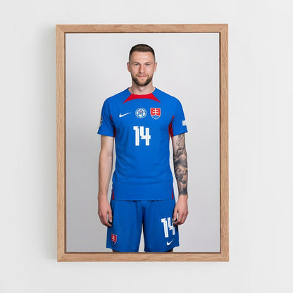 ap-slovakia national football team-1 cadre Bois clair