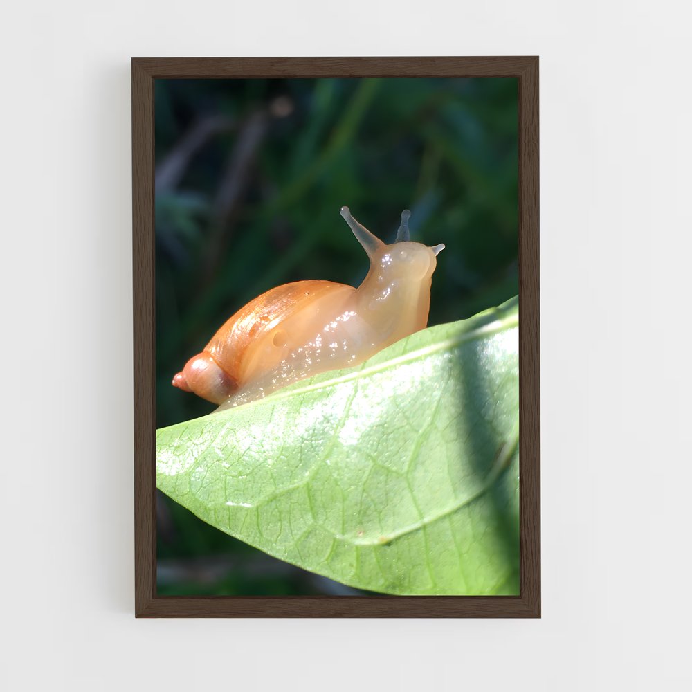 ap-slug-1 cadre Bois foncé