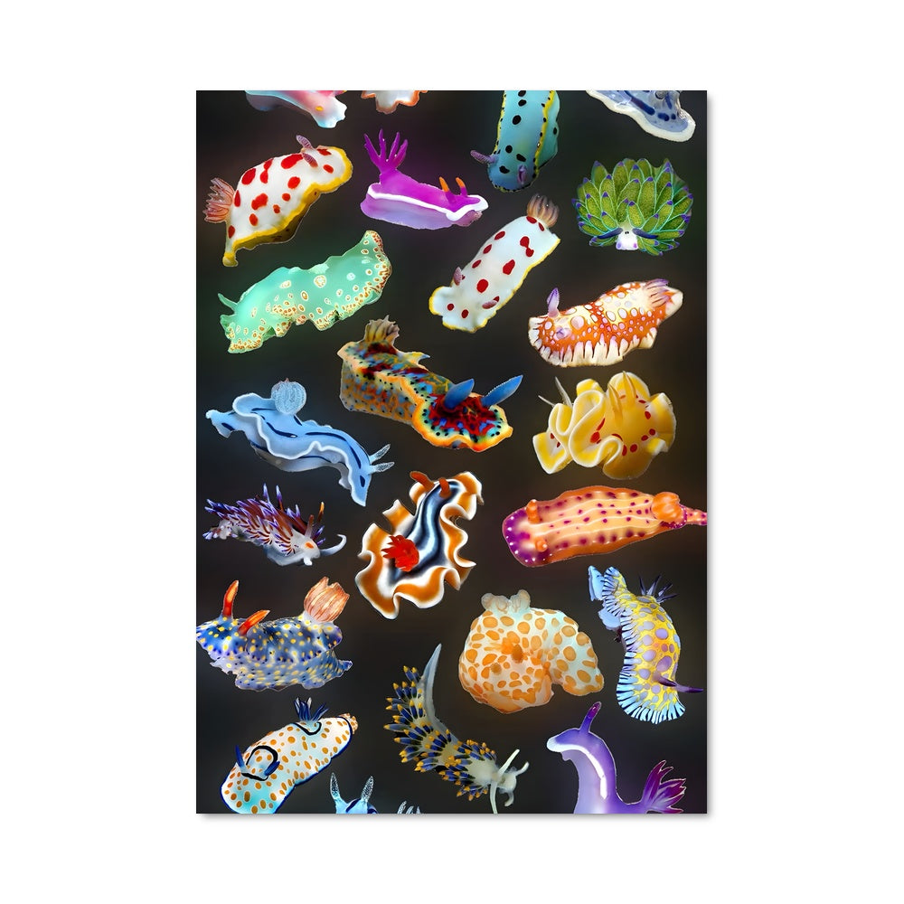 Poster Aquarium Éclatant