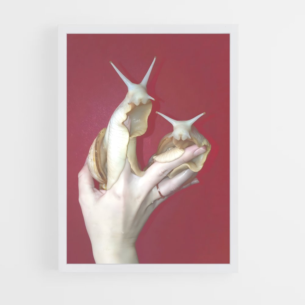 ap-snail-5 cadre Blanc