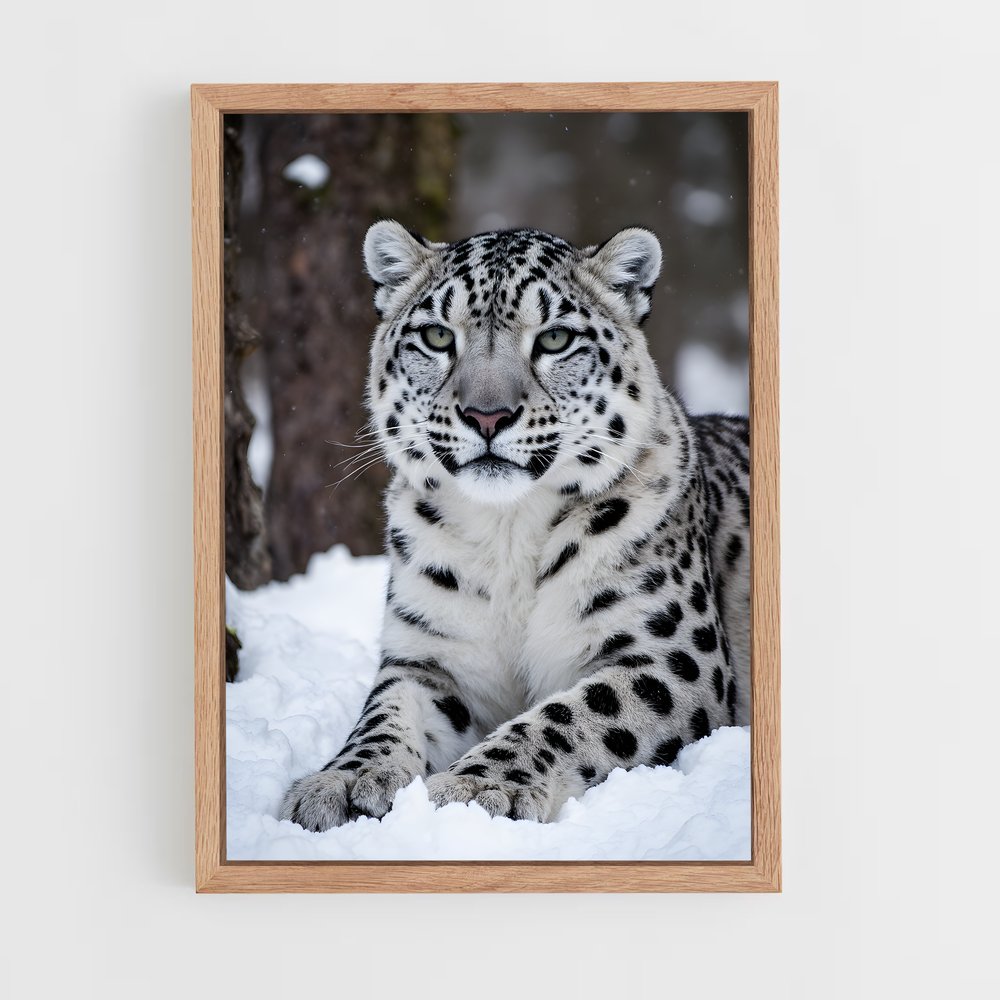 ap-snow leopard-2 cadre Bois clair