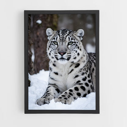 ap-snow leopard-2 cadre Noir
