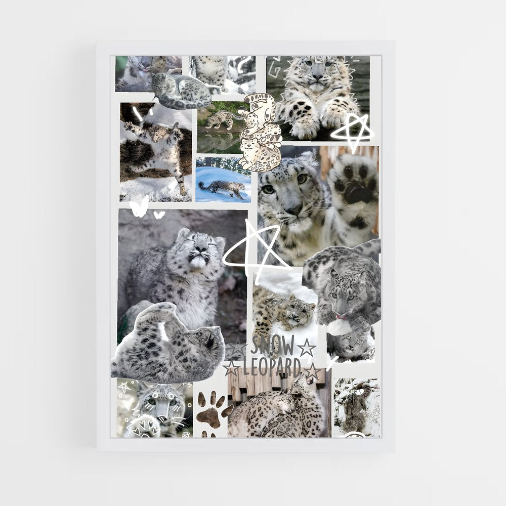 ap-snow leopard-3 cadre Blanc