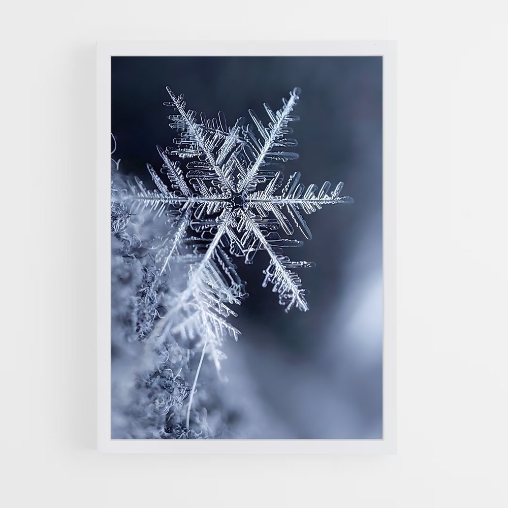 ap-snowflake-1 cadre Blanc
