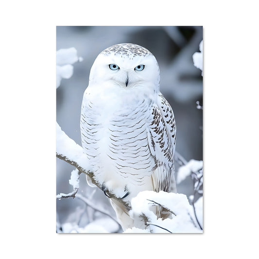 Poster Snowy owl 84380
