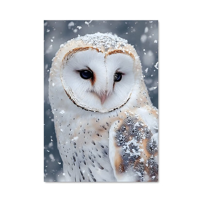 Poster Chouette des Neiges