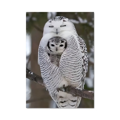 Poster La Chouette des Neiges