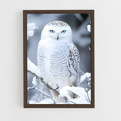 ap-snowy owl-1 cadre Bois foncé