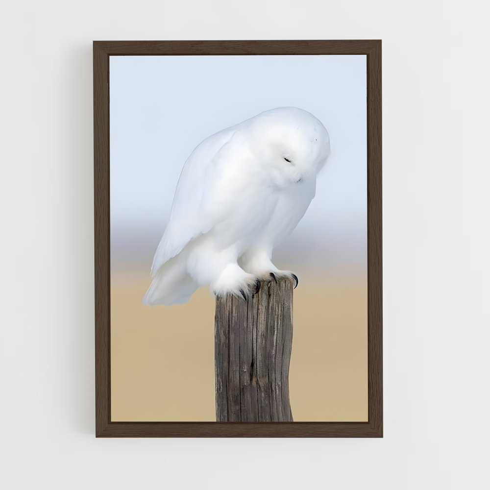 ap-snowy owl-11 cadre Bois foncé