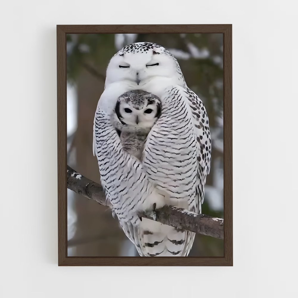ap-snowy owl-3 cadre Bois foncé