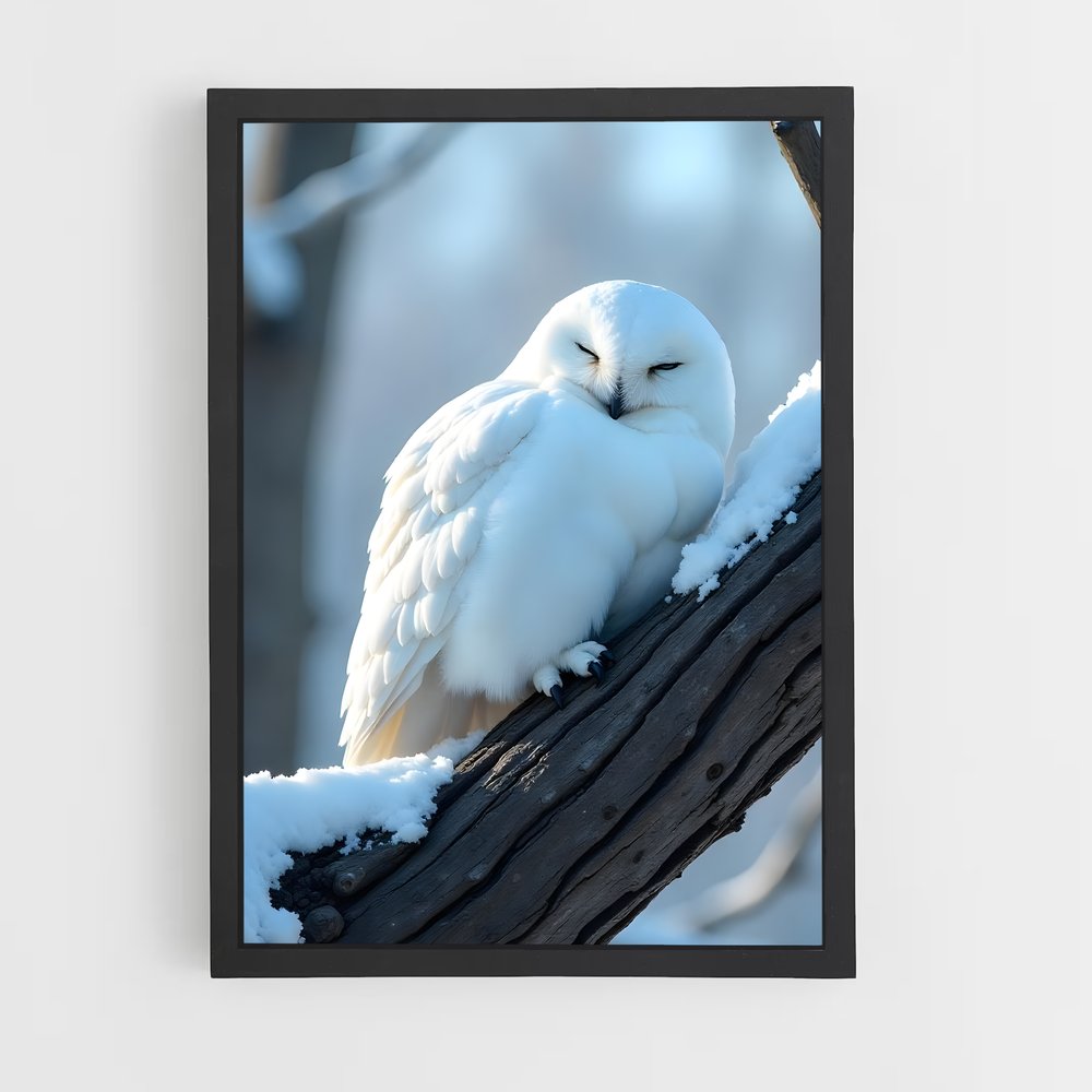 ap-snowy owl-4 cadre Noir