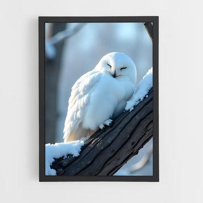 ap-snowy owl-4 cadre Noir