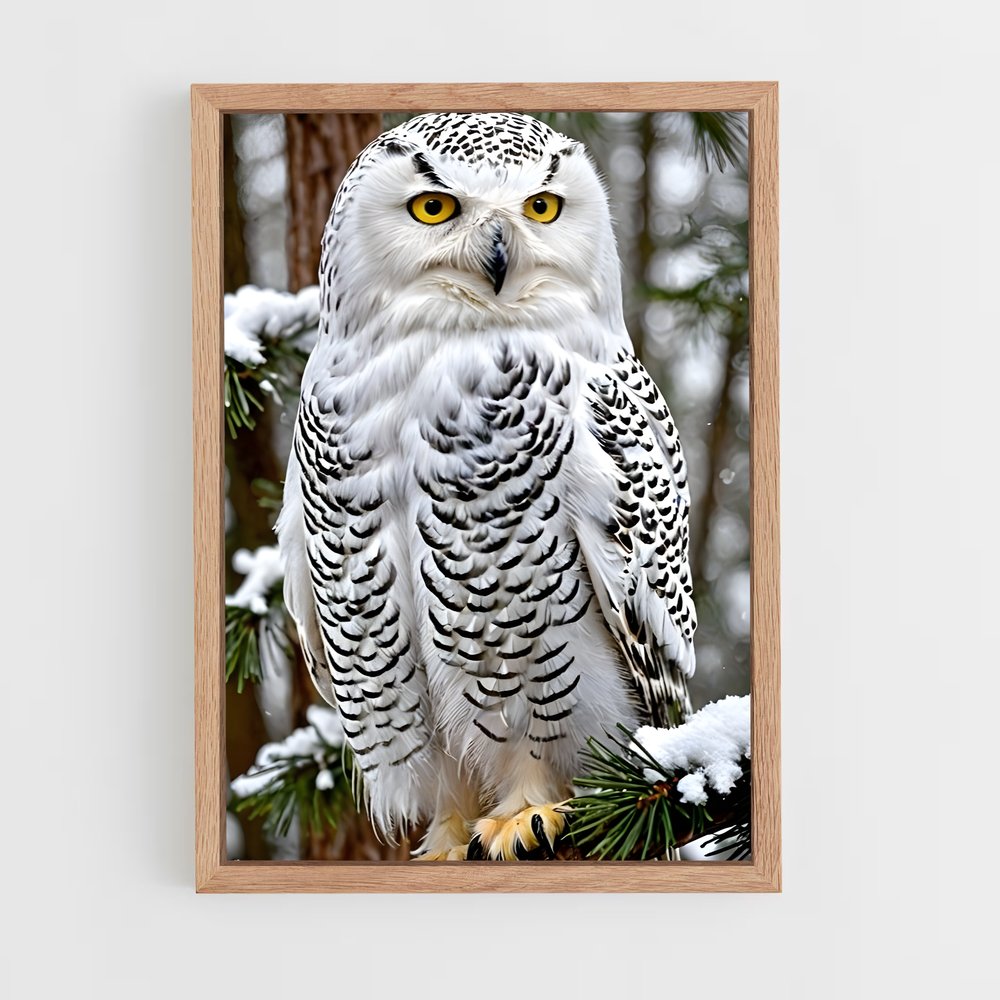 ap-snowy owl-5 cadre Bois clair