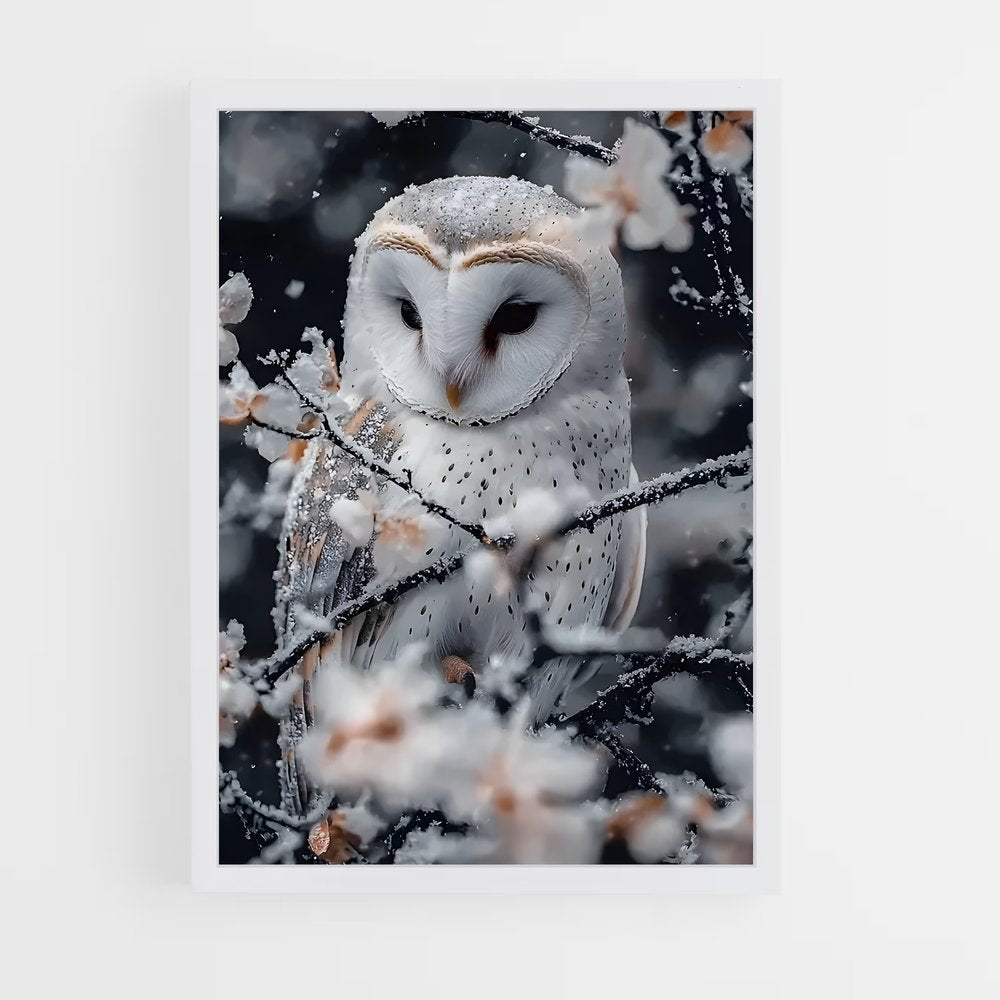ap-snowy owl-9 cadre Blanc