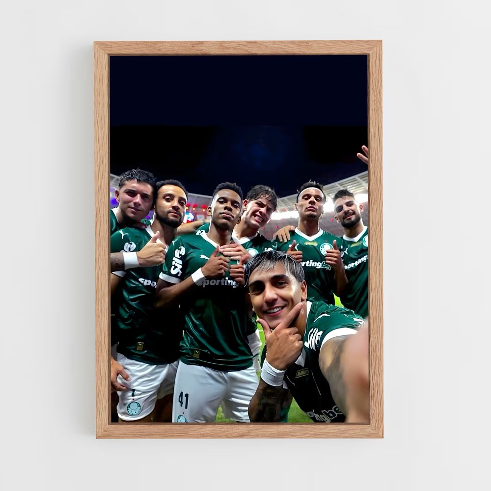 ap-sociedade esportiva palmeiras-1 cadre Bois clair