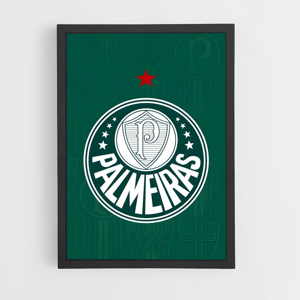 ap-sociedade esportiva palmeiras-12 cadre Noir