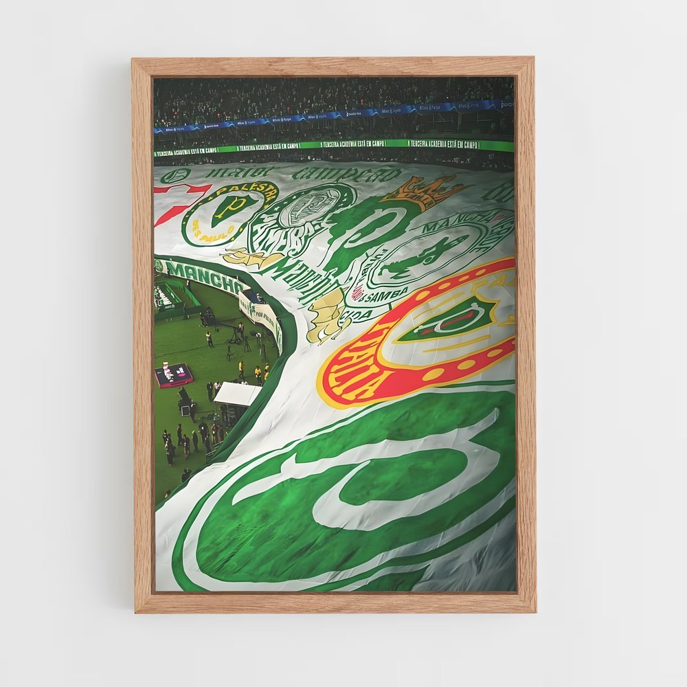 ap-sociedade esportiva palmeiras-5 cadre Bois clair