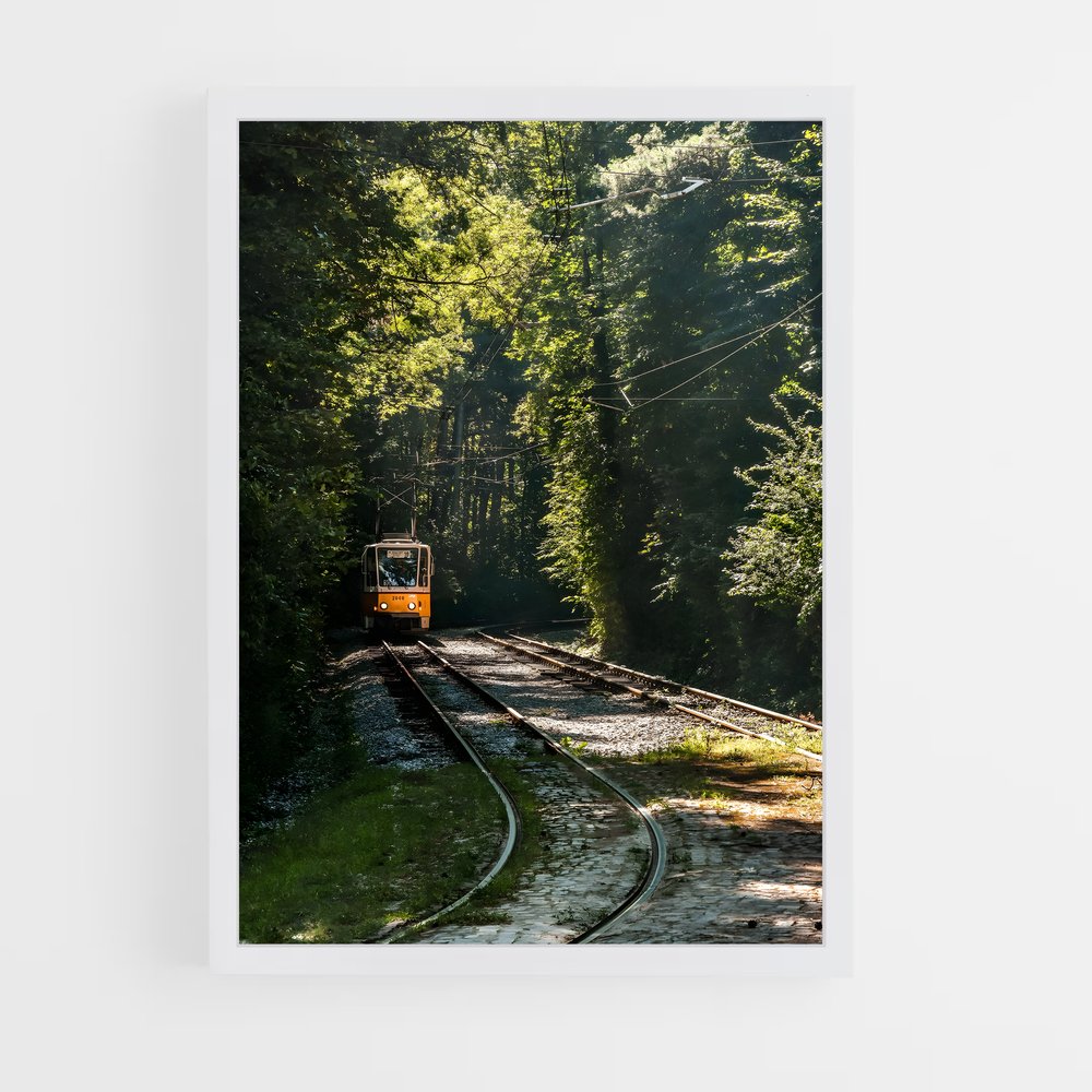 ap-sofia-1 cadre Blanc