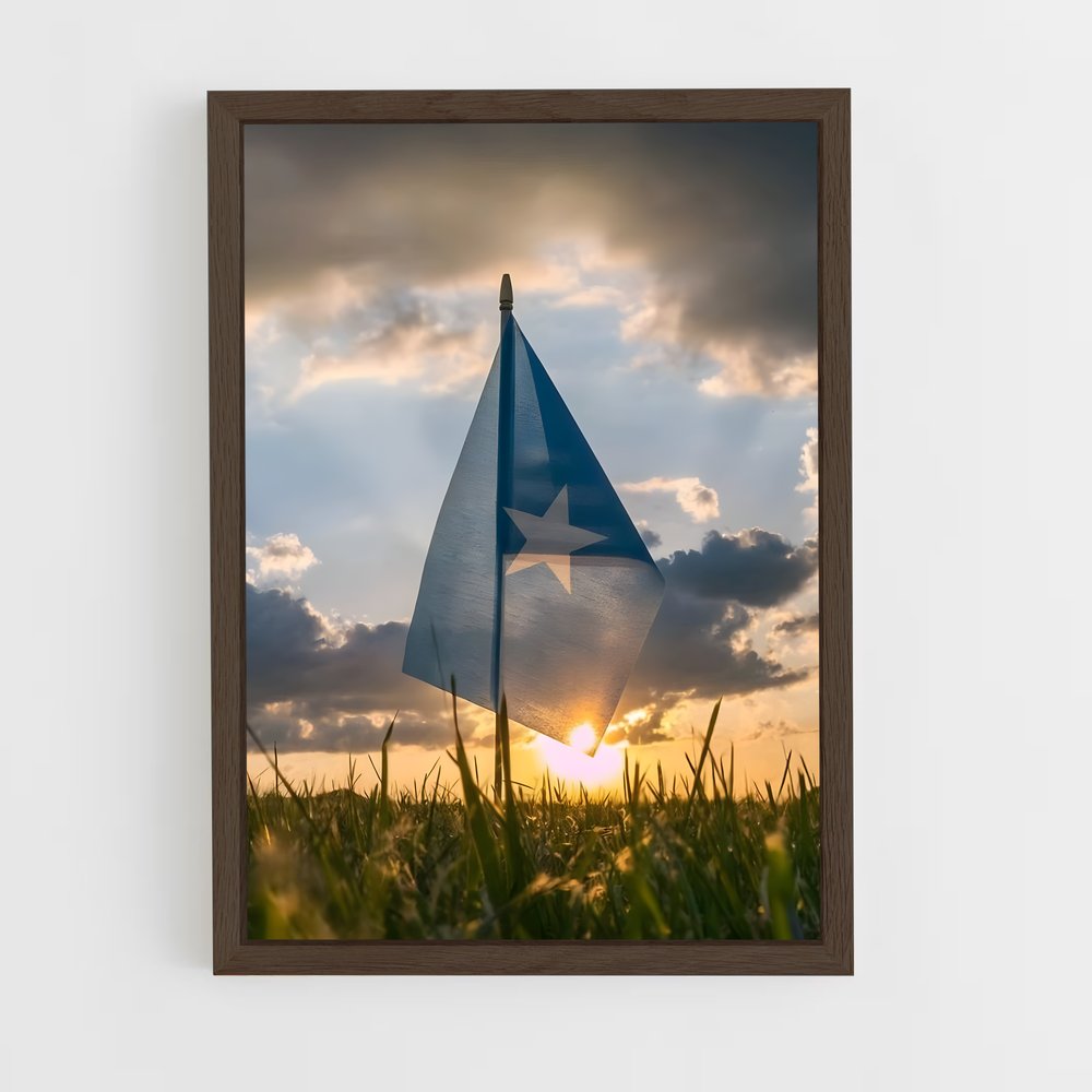 ap-somalia flag-2 cadre Bois foncé