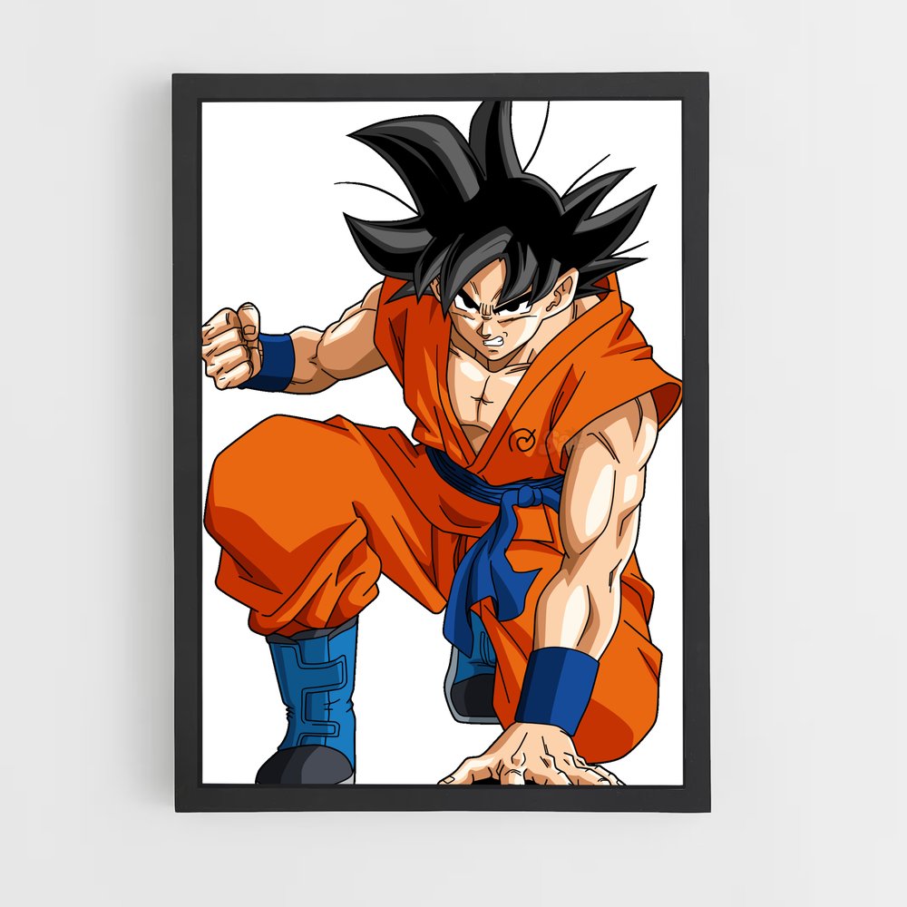 ap-son goku-5 cadre Noir