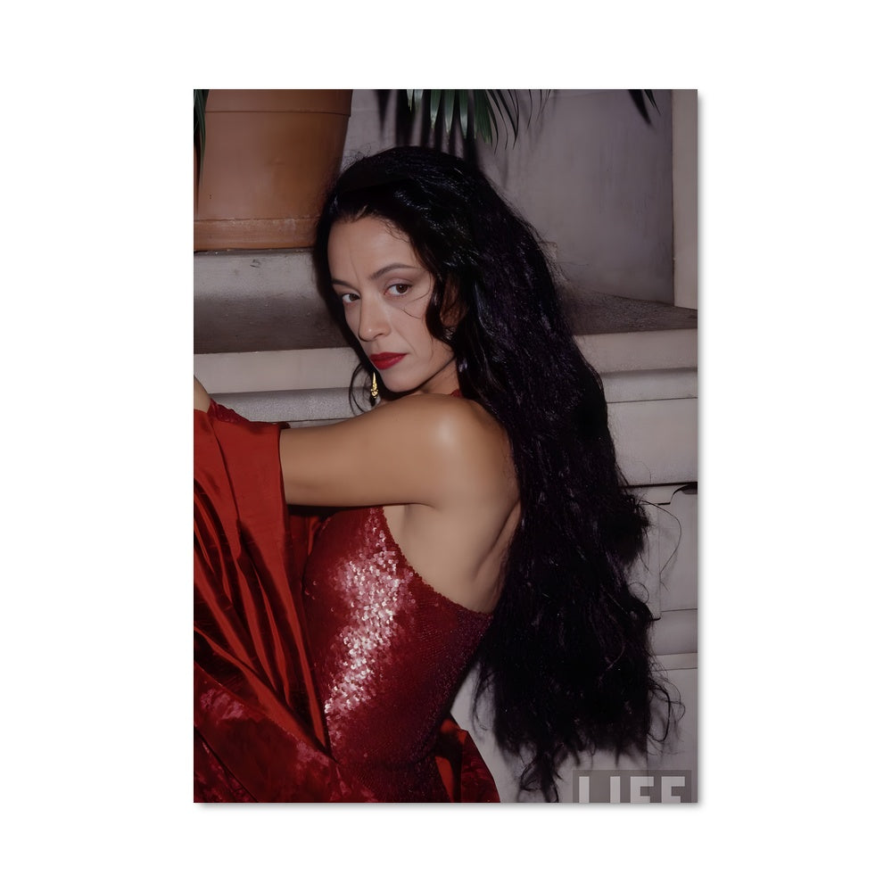 Poster Sonia braga 8318
