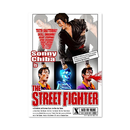 Poster Street Fighter Legacy