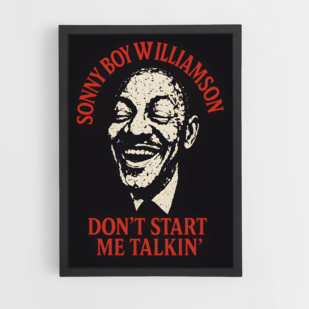 ap-sonny boy williamson-1 cadre Noir