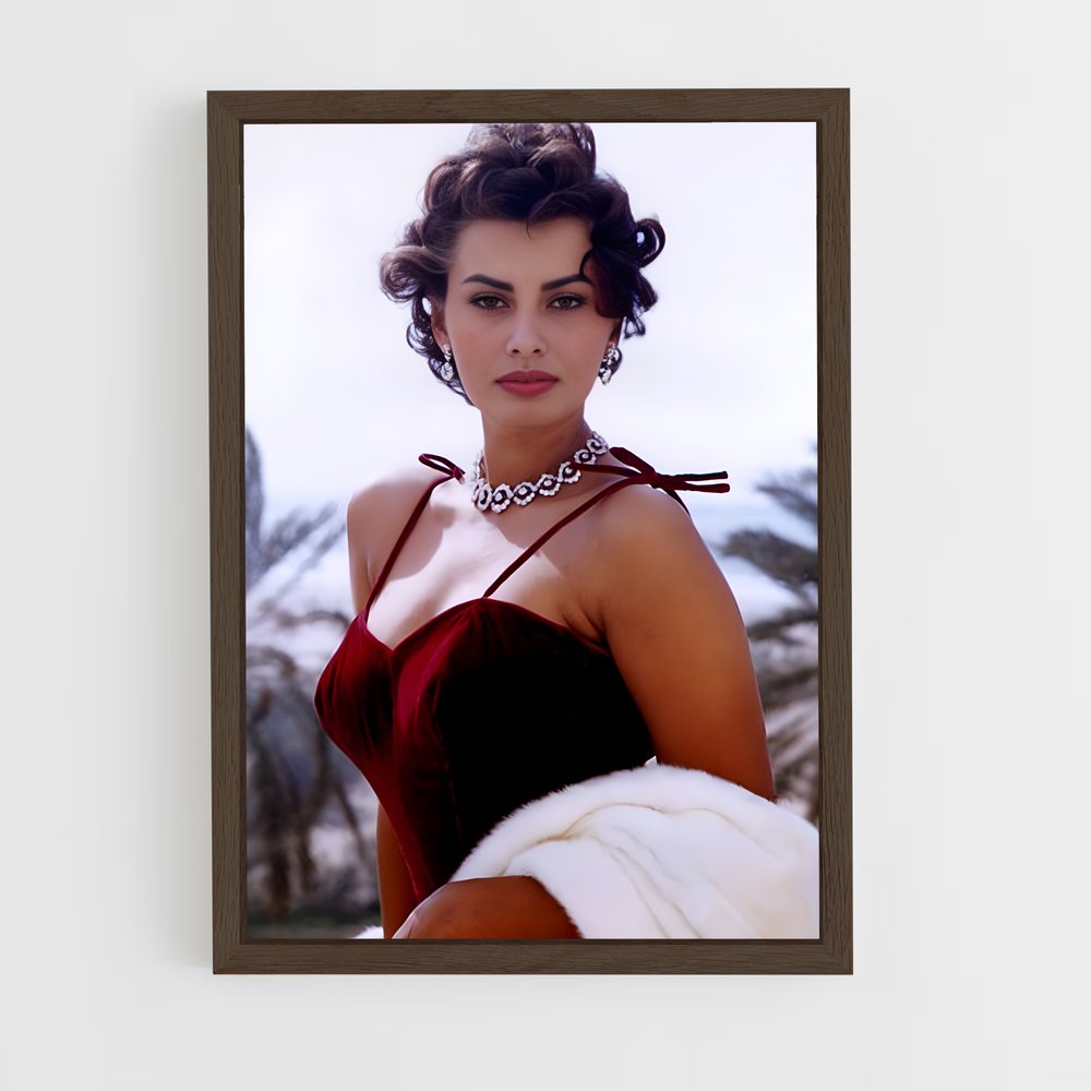 ap-sophia loren-5 cadre Bois foncé